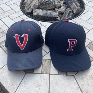 Bundle of 2 Men’s L-XL Baseball Caps/Hats
